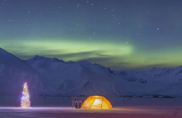 A Backpacking Tent Lit Up At Twilight With A Christmas Tree Next To It, Alaska Range In The Distance In Winter, With Northern Lights In The Sky; Anchorage, Alaska, United States Of America
