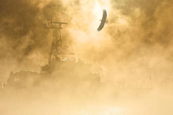 Bald Eagle Soars Over Auke Bay Harbor With Ice Fog Obscuring Docked Vessel At Juneau Alaska. Composite