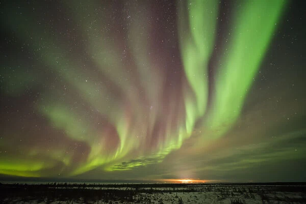 Bands Of Northern Lights In The Dark Manitoba Skies Near Churchill; Manitoba, Canada