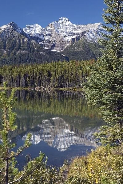 Banff National Park, Alberta, Canada; Reflection Of A Mountain In Herbert Lake
