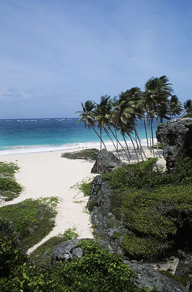 Barbados, Caribbean, Landscape of tropical white sand beach; Bottom Bay