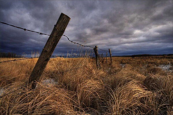 Barbed Wire Fence Posts With Dark Sky In Background, Alberta