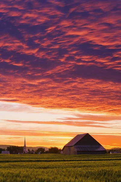 Barley Fields, Barn, Church And Colourful Sky At Dusk, Bas-Saint-Laurent Region, Saint-Donat, Quebec