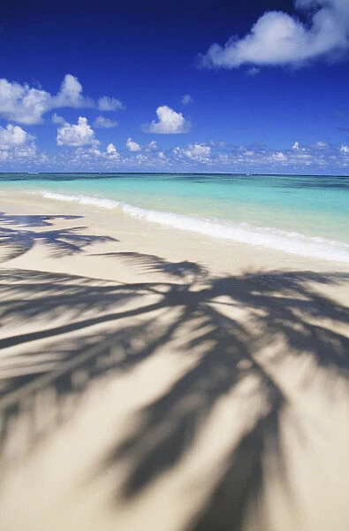 Beach Scene With Palm Shadow On Shoreline Sand, Tropical