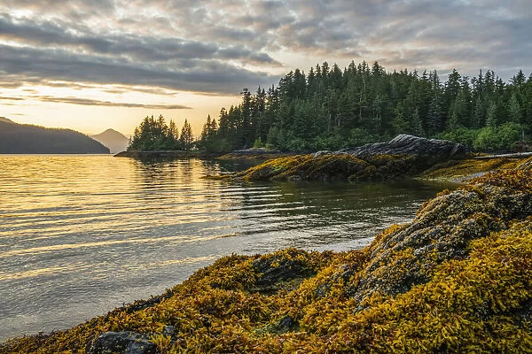 Beautiful landscape of Prince William Sound at sunset; Whittier, Alaska, United States of America