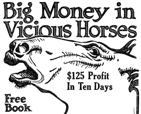 'big Money In Vicious Horses'Illustration From Early 20th Century