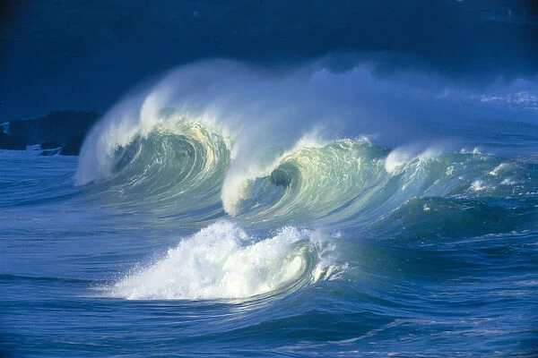 Big Stormy Waves With White Caps Curling, Waimea Shore Break C1690