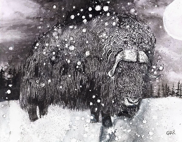 Black And White Illustration Of A Buffalo In A Snowfall