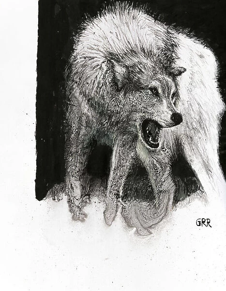 Black And White Illustration Of A Wolf Growling At A Predator