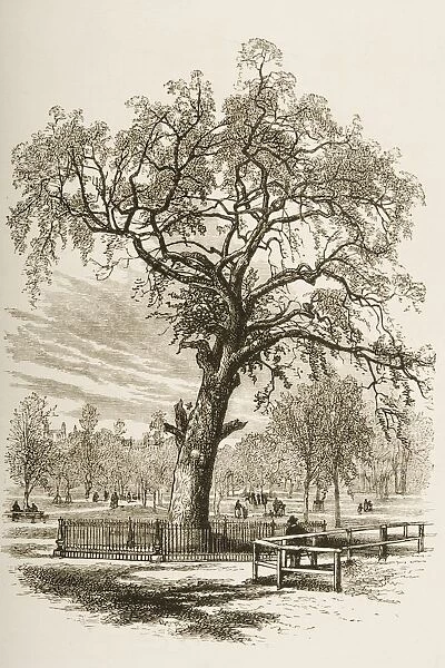 Boston Massachusetts, The Liberty Tree In 1870S. From American Pictures Drawn With Pen And Pencil By Rev Samuel Manning Circa 1880