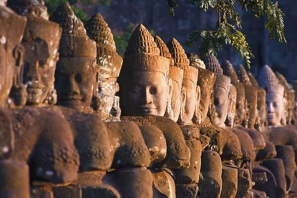 Buddha Head Statues, Angkor Wat Temple Complex
