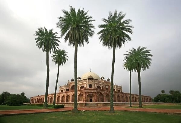 Building With Palm Trees In Foreground; New Delhi, India