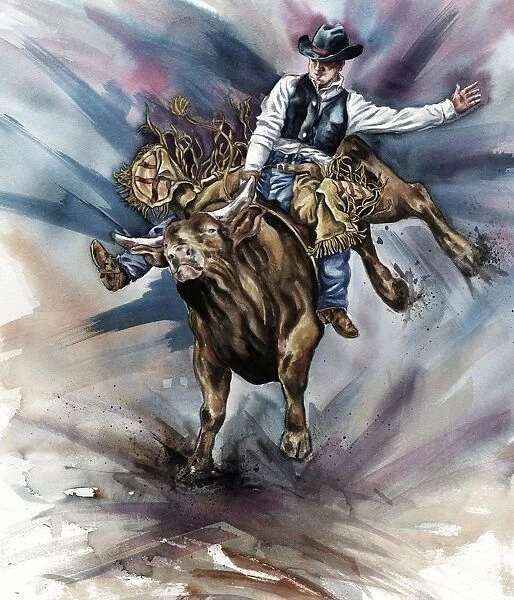 Bull Bucking His Rider