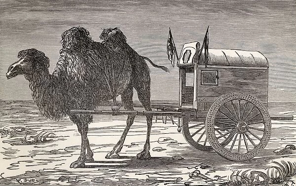 A Camel Pulling A Carriage Across The Gobi Desert, Asia In The 19Th Century. From The Book From Paris To Pekin Over Siberian Snows Published 1889