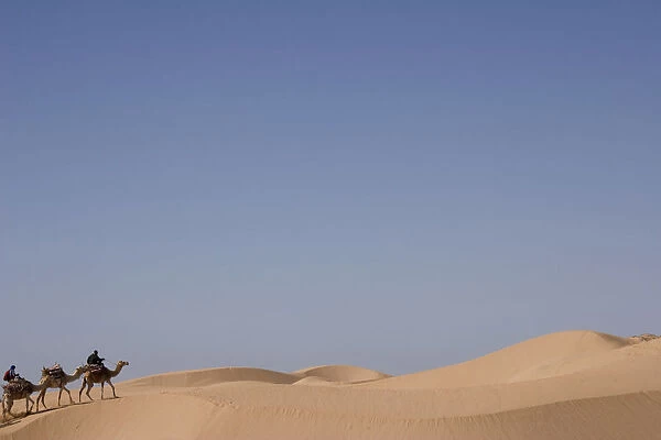 Camel Trek On Sand Dunes