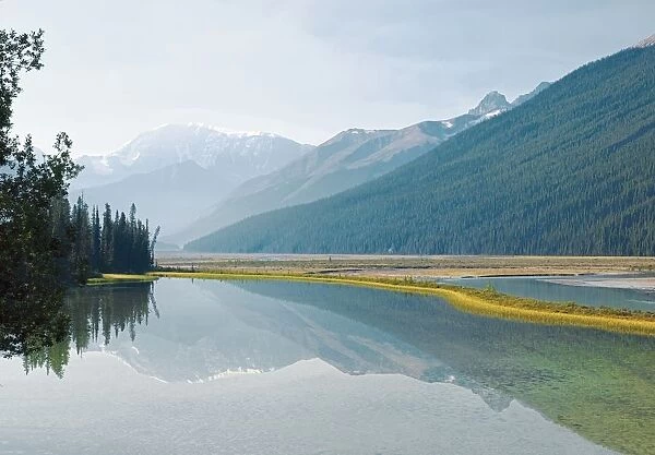 Canadian Rockies Reflected In Beauty Creek, Jasper National Park, Alberta, Canada