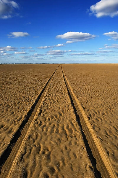 Car Tracks On A Deserted Sandy Beach