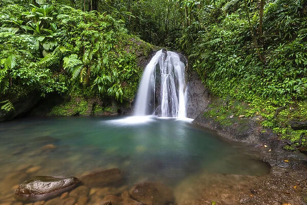 Cascades aux Ecrevisses in a tropical forest on Basse-Terre, Guadeloupe, French West Indies
