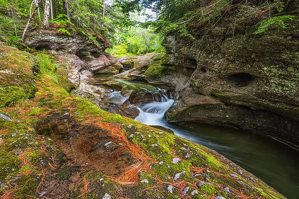 Cascading stream over rock in a forest; Saint John, New Brunswick, Canada