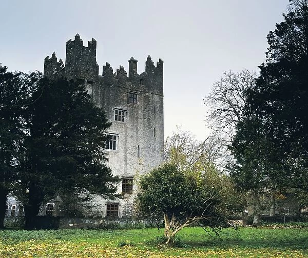 Castle Matrix, Co Limerick, Ireland