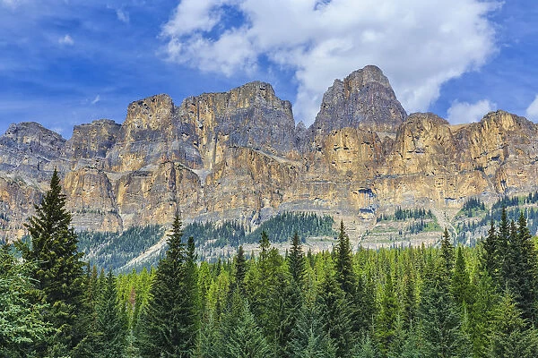 Castle Mountain And Coniferous Trees, Banff National Park; Alberta, Canada