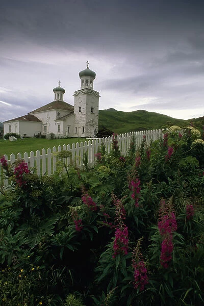 Cathedral Of Holy Ascension Atop Hill W  /  Wildflowers Unalaska Island Southwest Alaska Summer Aleutian Isl