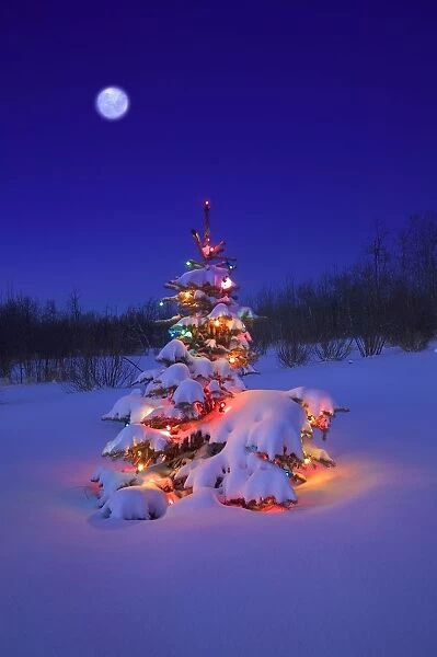 Christmas Tree Glowing