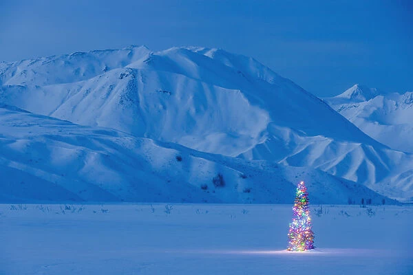 A Christmas Tree Lit Up At Twilight With The Alaska Range Behind It Winter Isabel Pass Along The Richardson Highway Interior Alaska; Anchorage Alaska United States Of America