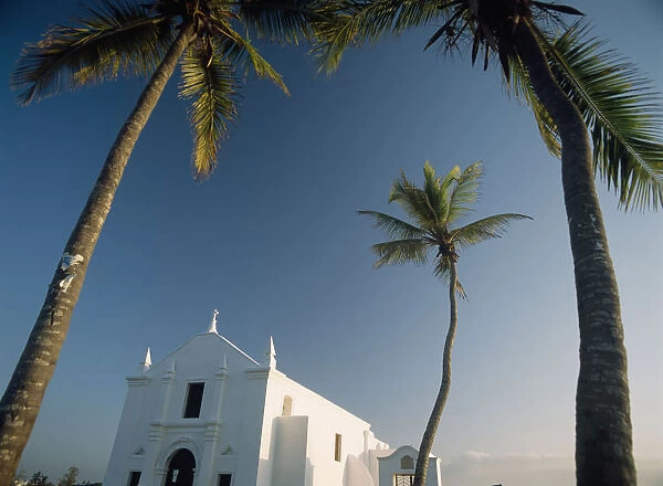 Church Of Santo Antonio Beneath Palm Trees, Low Angle View