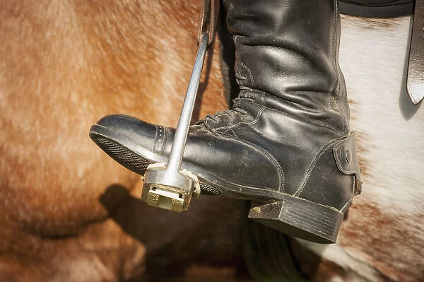 Close Up Of A Riding Boot In Stirrups In Baltimore County; Maryland, United States Of America