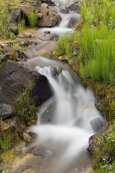 Close Up Of A Small Stream & Cascade In Denali National Park During Mid Summer In Alaska