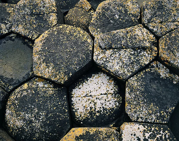 Close-Up Of Basaltic Rocks, Giants Causeway, County Antrim, Northern Ireland
