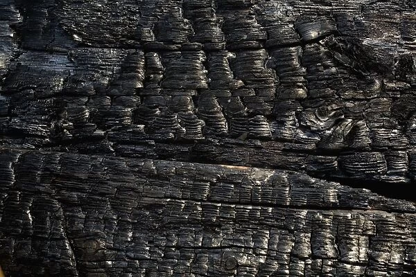 Close-Up Of Charred Wood