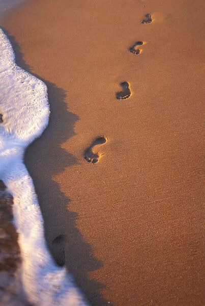 Close-Up Of Footprints In The Sand Along Shoreline, Golden Afternoon With Shadows
