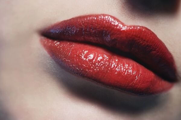 Closeup Of Womans Lips