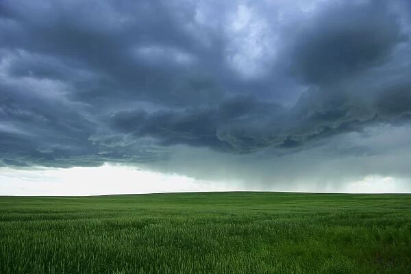 A Cloudy Sky Over A Field, Alberta, Canada