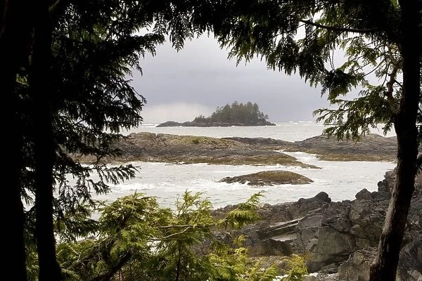 Coastal Scene, Tofino, British Columbia, Canada