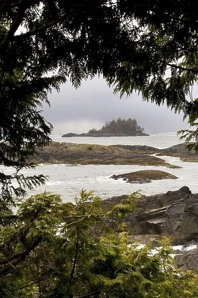 Coastal Scenery, Tofino, British Columbia, Canada