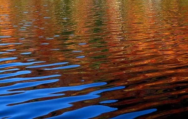 Colored Reflections On Water