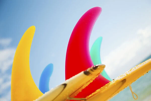 Colorful Surfboards Fins, Bright Sunny Sky In Background