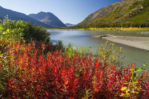 Colourful Foliage Changing From Summer To Autumn, South Of Denali National Park And Preserve, Viewed From Parks Highway, Interior Alaska; Alaska, United States Of America