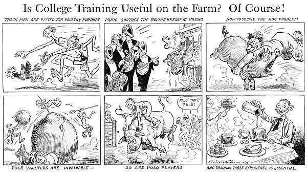 Comic Strip In Country Gentleman Agricultural Magazine From The Early 20th Century