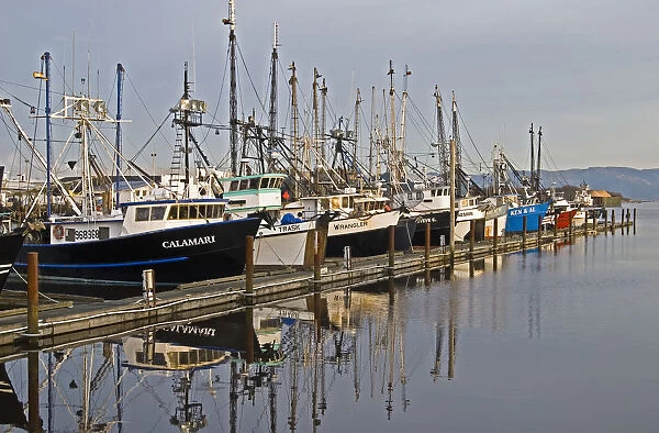 Commercial Fishing Boats Dock In The Warrenton Boat Mooring Basin On The Columbia River; Warrenton, Oregon, United States Of America