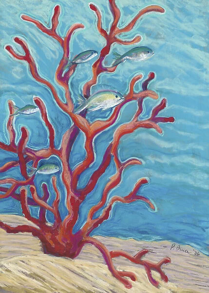 Coral Assets, Fish And Coral Branch On Seafloor (Pastel)