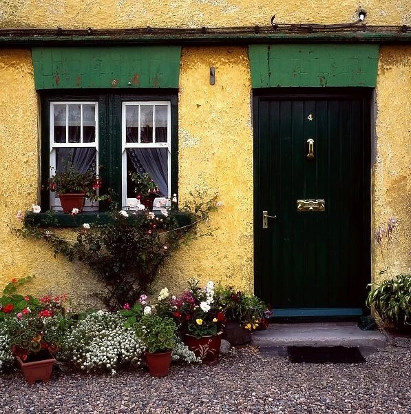 Cottage At Bushmills, Co Antrim, Ireland