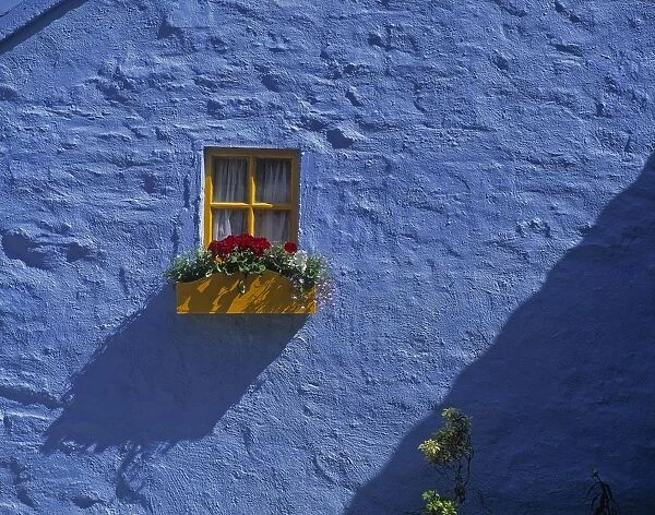 Cottage Window, Kinsale, Co Cork, Ireland