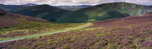 Country Road Passing Through A Landscape, Luggala, County Wicklow, Republic Of Ireland