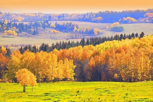 Countryside In Autumn