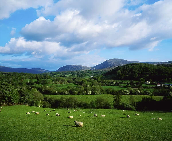 County Kerry, Ireland, Near Kilgarvan