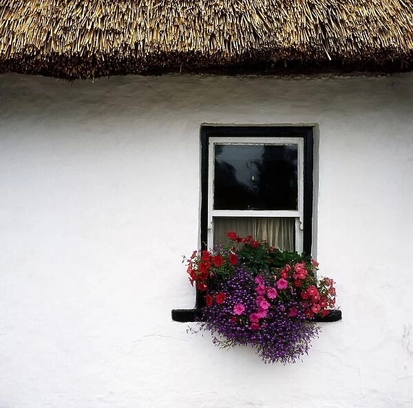County Limerick, Ireland; Traditional Thatched Roof Cottage